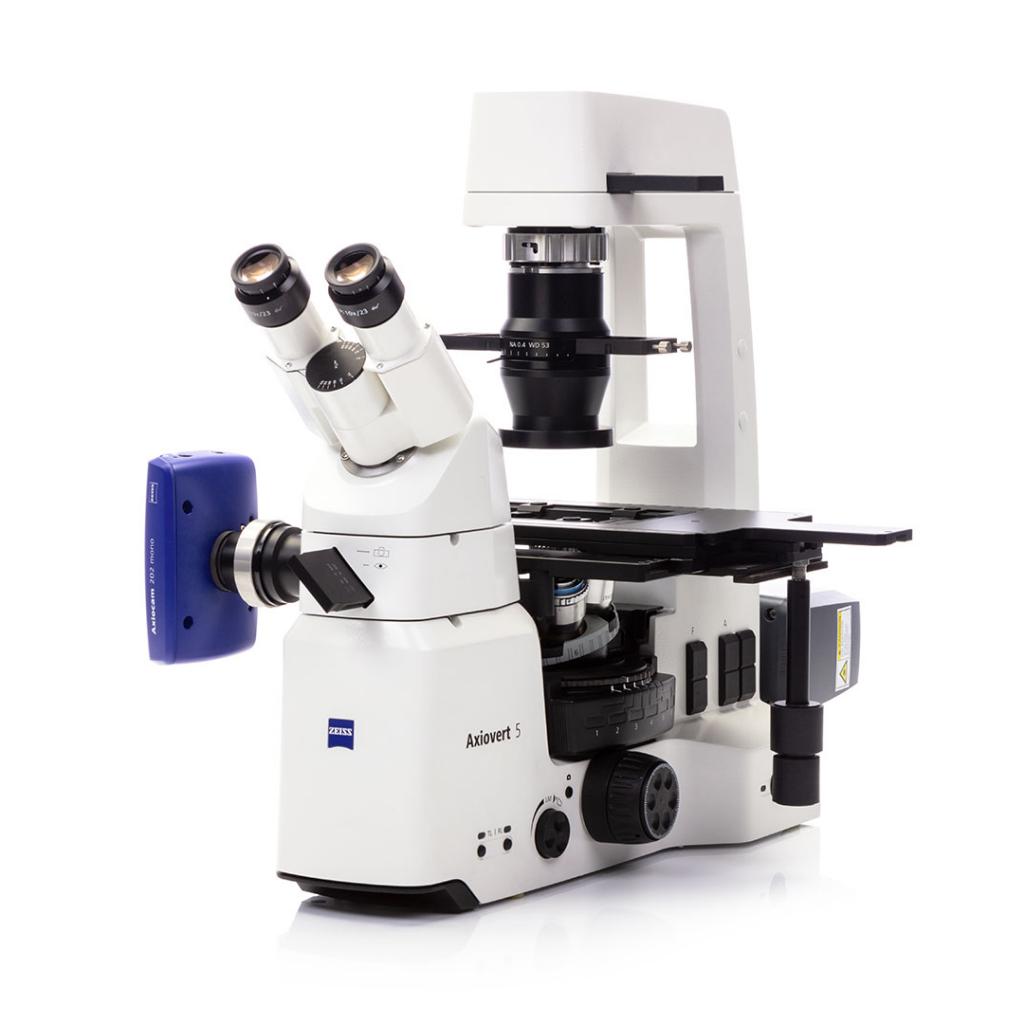 Fluorescence Microscope